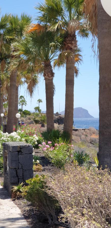 Cosy Well Located Apartment Tenerife Sur Golf San Miguel de Abona Buitenkant foto